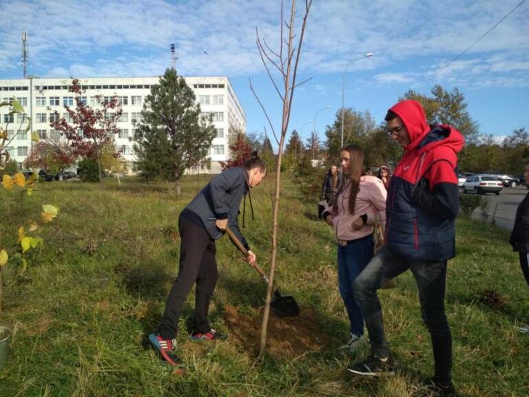Caring for the Future: Students from the Faculty of Health and Physical Education Propose an Environmental Tuition Fee